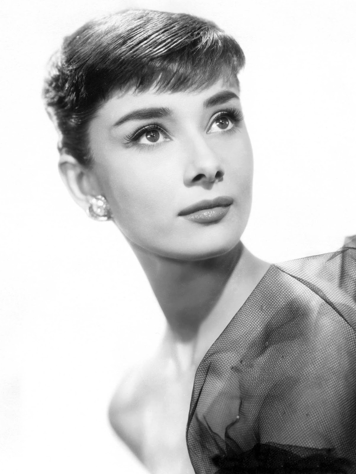 Audrey Hepburn Timeless Beauty